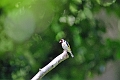 18 07 16_9078_edited-1